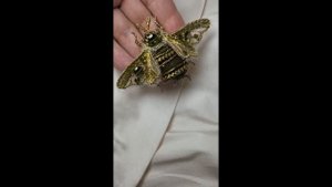 Брошь шмель : шмелик ручной работы