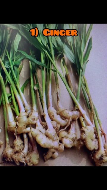 TOP 2 BEST FOODS FOR ARTHRITIS ! #Food #HEALTHY #arthritis #foodismedicine #foodshorts смотреть онлайн