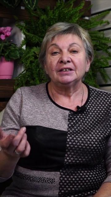 Заморозки на зиму - травы и овощи