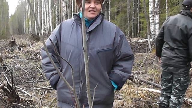 Праздник