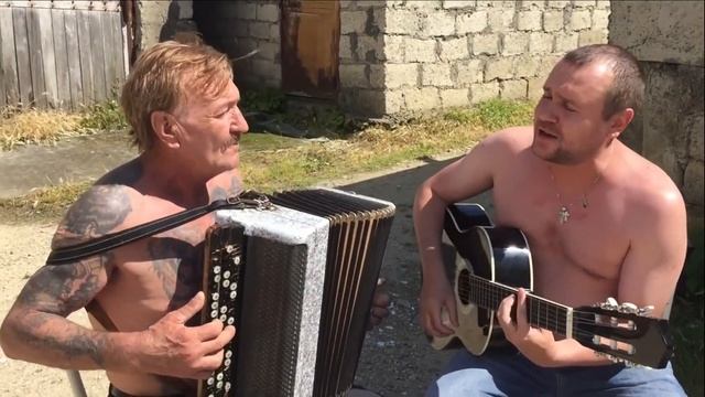 Анатолий Пилюгин и Николай Пилюгин. Лебеди. remix. смотреть онлайн