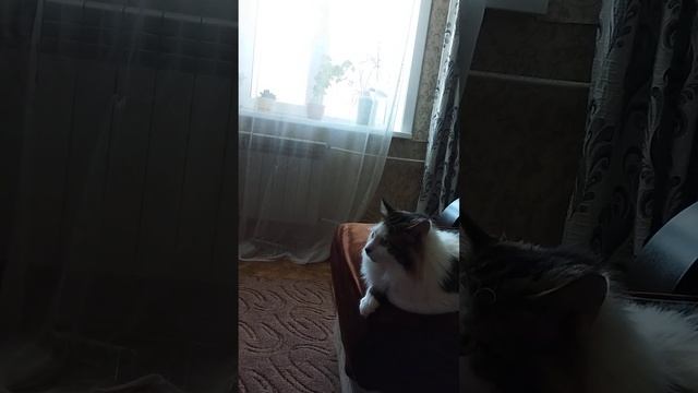 27 февраля 2023 г. смотреть онлайн