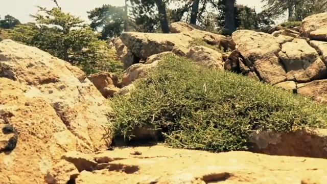 Шаги по исцелению от болезни. Христианское отношение. смотреть онлайн