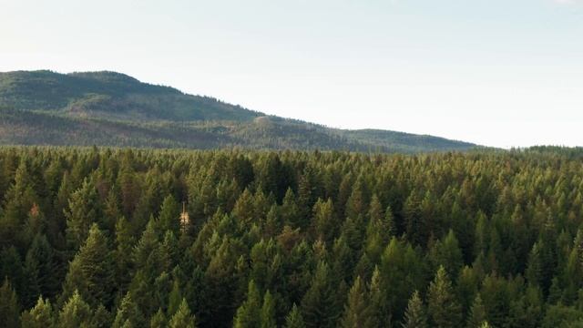 Збірка пісень Назарія Яремчука , топ пісні Назарія Яремчука , українська народна творчість
