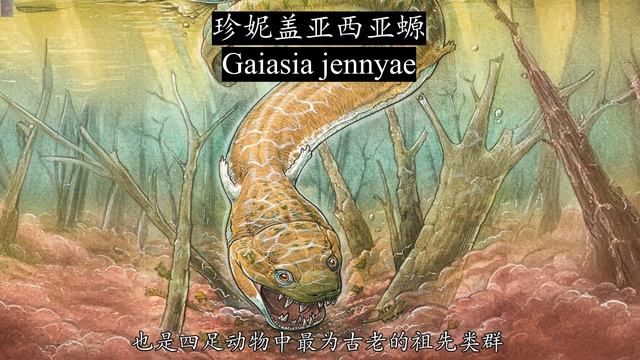 2.8亿年前的初代四足之王：晚古生代冰期呵护下的冈瓦纳霸主（Gaiasia jennyae）