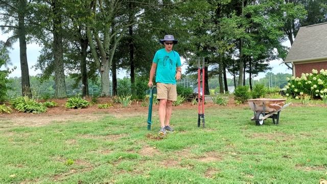 How To Plant Zoysia - The Step-By-Step Guide to plugs смотреть онлайн