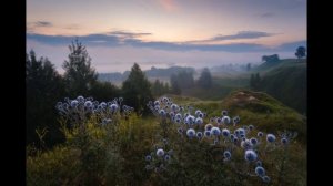 "В земле наши корни" (А.Пахмутова - Е. Долматовский), исп. "Песняры" (1972)