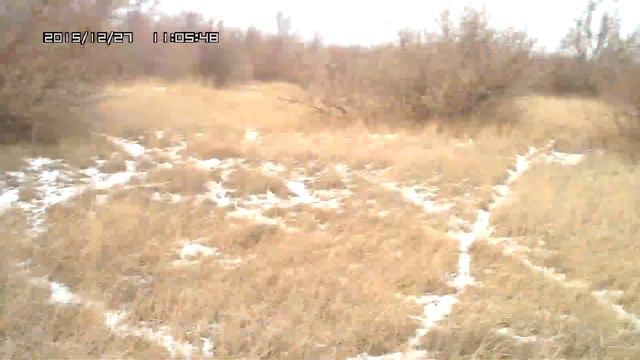 За зайцем по первому снегу, след еле видно