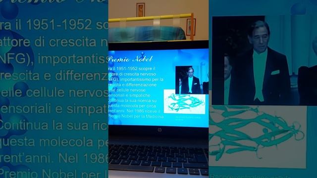 Rita Levi-Montalcini ppt смотреть онлайн