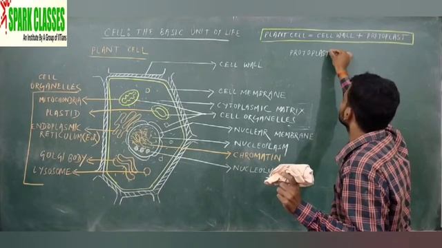 BIOLOGY::CELL-BASIC UNIT OF LIFE::FOR XI SCIENCE INTEGRATED::By Dr. Birendra Kumar смотреть онлайн