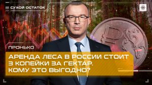 Пронько: Аренда леса в России стоит 3 копейки за гектар. Кому это выгодно?