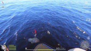 рр4 Опах красноперый! Закрыто! 145 кг.