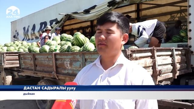 Жалал-Абадда дарбыз бышты смотреть онлайн