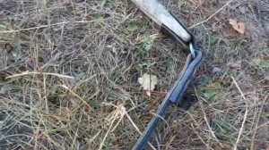 Электопастух ТОР 15 ЭКО. Отзыв