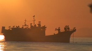 шхуна и солнце 1