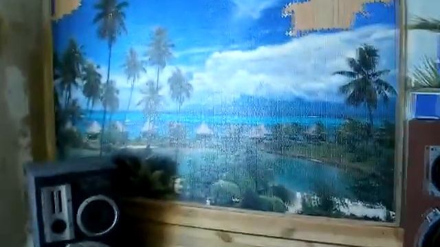 Angora Liska and evergreen ash смотреть онлайн