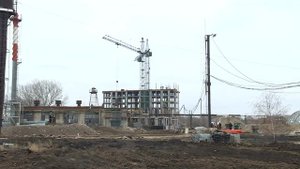 Грунт. Зелёный сад. 14.11.2024