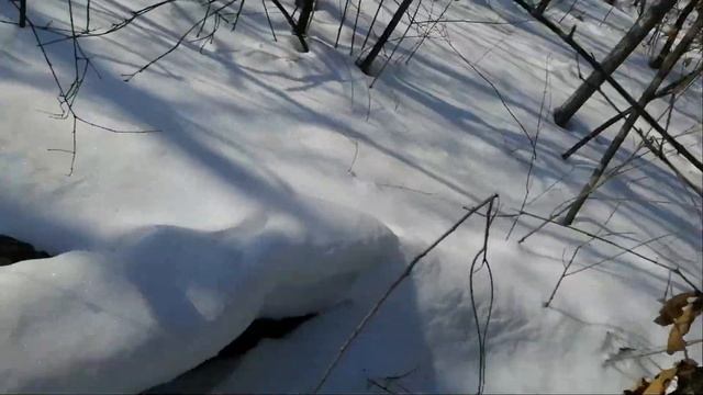 Землянка.Наращиваю дымоход.Следы невиданных зверей.Сытный ужин. смотреть онлайн