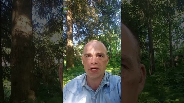 Публичное уведомление ! смотреть онлайн