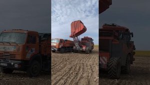 14 января 2021 г.