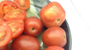 Dwarf Bendigo Blush Tomato -  Awesome Cherry! 2.5 Feet Tall Plants! For Containers Too!