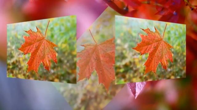 лист смотреть онлайн