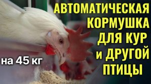 Автоматическая бункерная кормушка объемом 45 литров для кур и другой домашней птицы