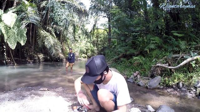 TERNYATA DISINI SARANG IKAN CHANNA GACHUA || MANCING DI BALI смотреть онлайн