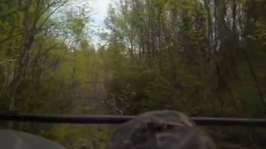 По тайге на вездеходе Газ 71