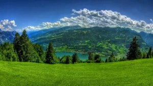 Очень красивая Чеченская песня "Са йиша хунда ю хьо ойла йохна"