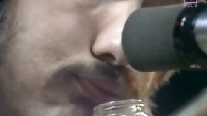 Mungo Jerry - Summertime