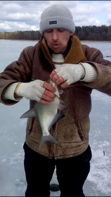 Оскол ловля леща смотреть онлайн