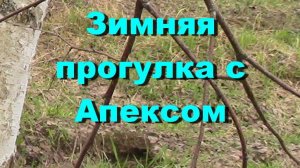 Зимний коп 2025