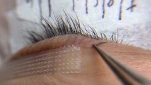 ПРОЦЕСС НАРАЩИВАНИЯ РЕНСИЦ ОТ А ДО Я. Мокрый эффект.