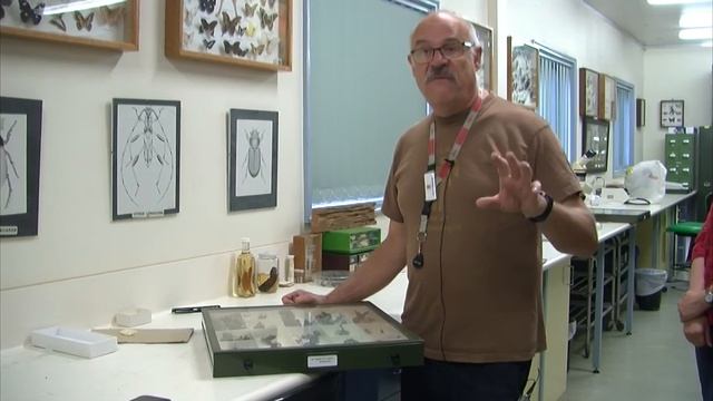 Preserving the Scientific Collections of the NSW Department of Primary Industries - Schools Program