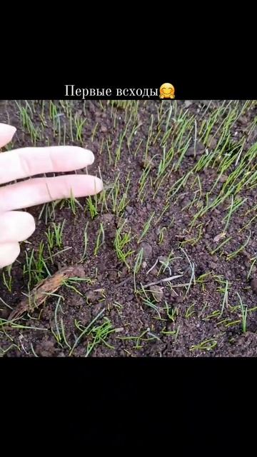 20/30 челендж "30 дней снимаю reels" смотреть онлайн