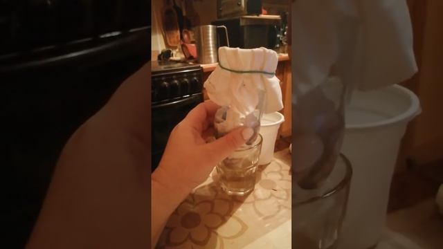 Многослойный фильтр. Алова 8А лицей номер 179 смотреть онлайн