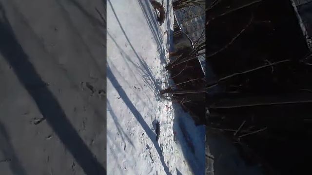 Гуляем с классом