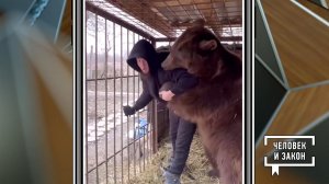 Видео недели: радость за товарища; русские и медведи; неразумный водитель; опасный робот. Человек...