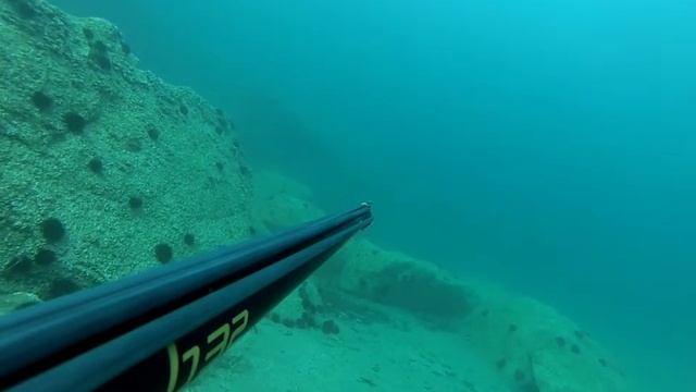 Фагри??? смотреть онлайн