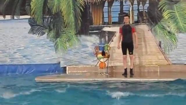 CIMG4790 смотреть онлайн