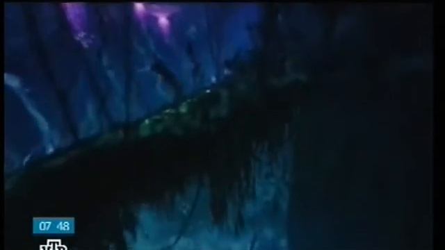 Сегодня утром (??.04.2010) Фрагмент смотреть онлайн