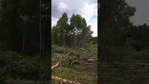 кусторез К-1.7 М