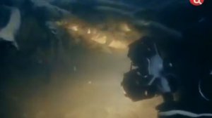 Подводная одиссея команды Кусто