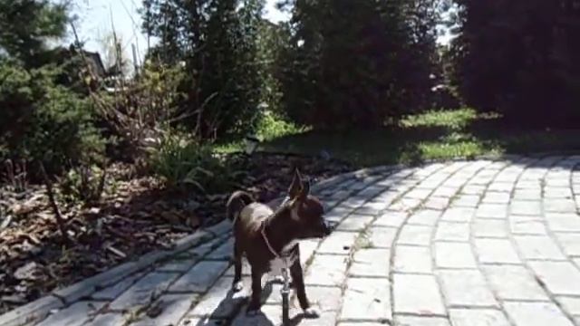 Лилит видео на даче смотреть онлайн