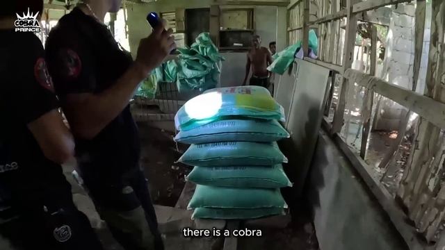 MALIKSING COBRA SA BABUYAN смотреть онлайн