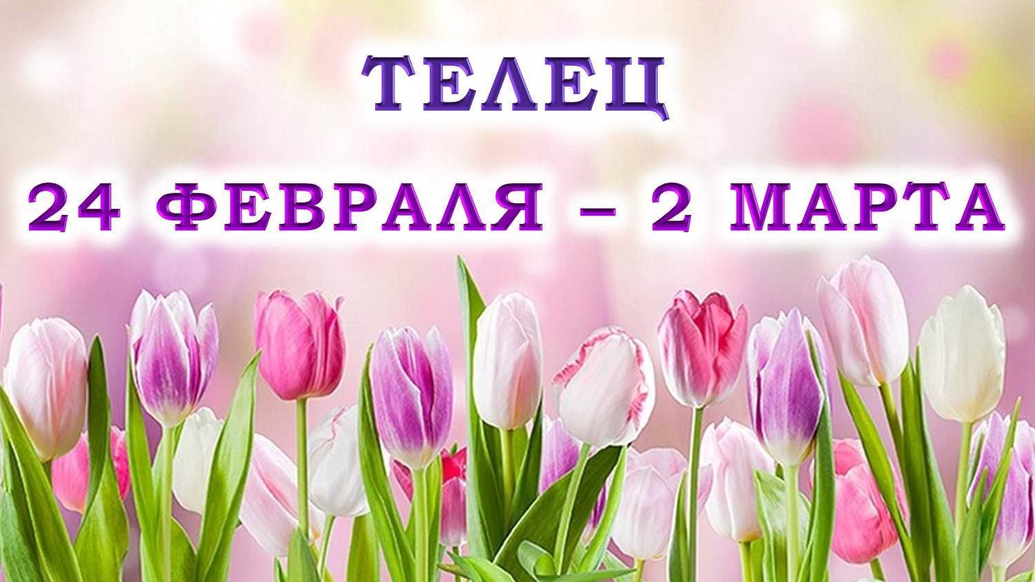 ♉ ТЕЛЕЦ. 🌷 С 24 ФЕВРАЛЯ по 2 МАРТА 2025 г. 💖 Подробный Таро-прогноз 🫶