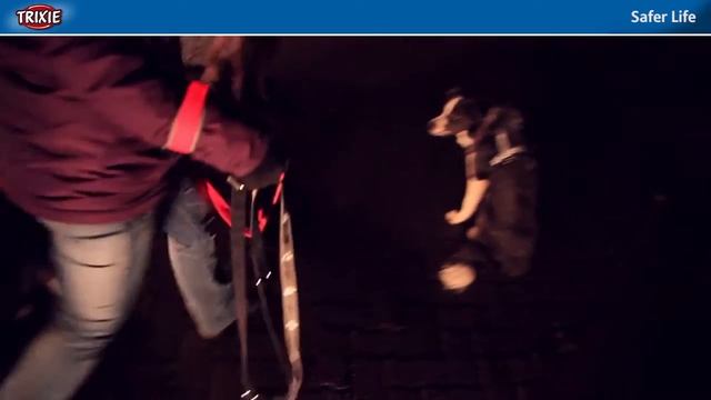 Trixie Safer Life világítós textil nyakörv смотреть онлайн