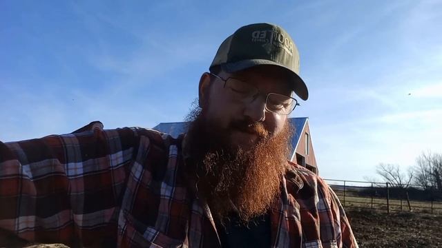 MIT spliced Aligator gene into farm raised Catfish. Catgatorfish смотреть онлайн