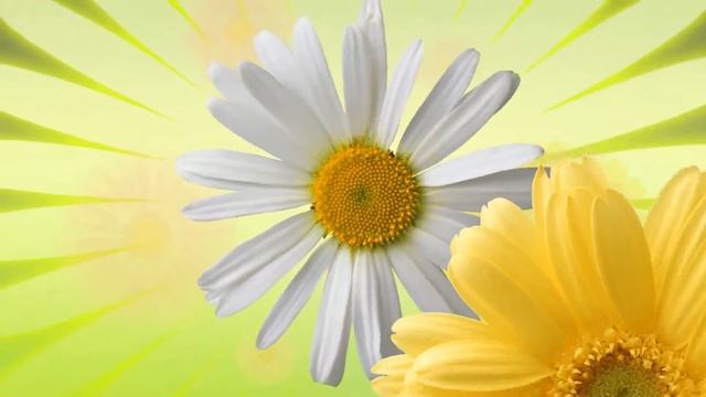 тисэ фундамент смотреть онлайн